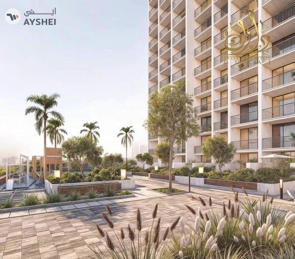 Stop dreaming. Start winning. The beginner takes the lead