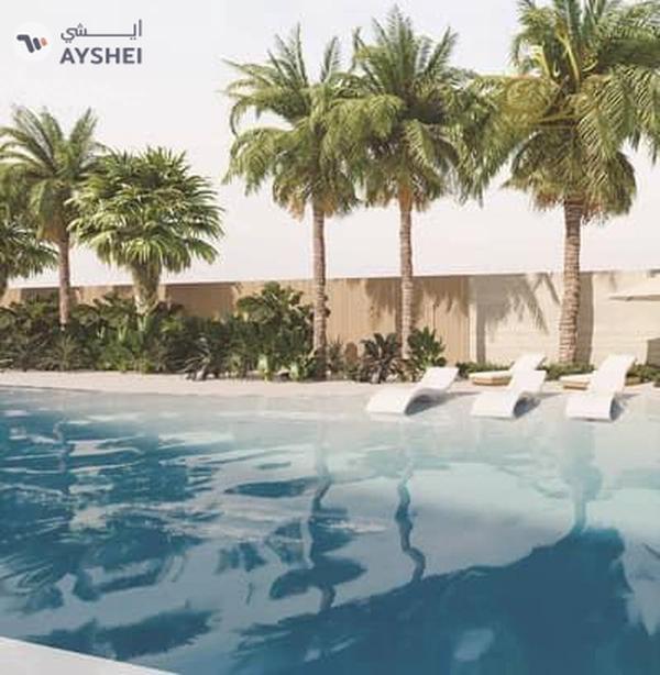 Stop dreaming. Start winning. The beginner takes the lead