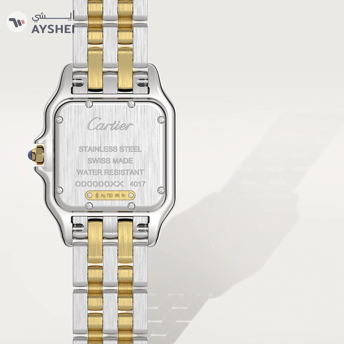 Cartier Panthere de Cartier Medium Steel & yellow gold-2-2