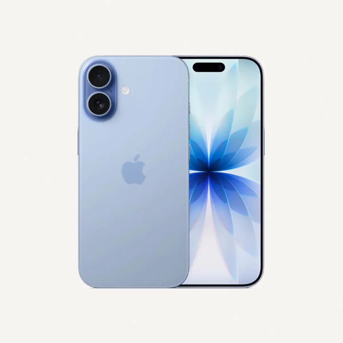 https://storage.ayshei.com/prod/public/drafts/daa8a775-6450-4d7a-b47c-3246bb428e6d/web/5_1781349691248_1200.webp-0