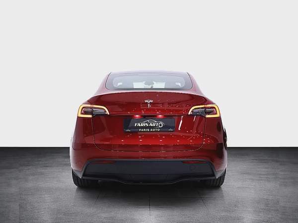 TESLA MODEL Y 2024 IN SPECIAL COMBINATION