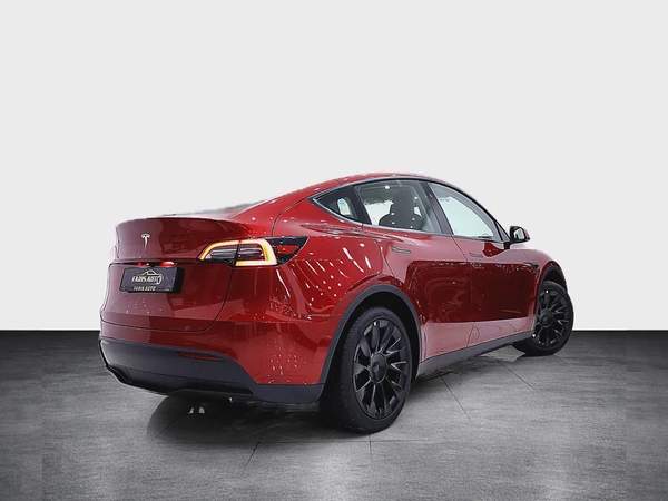 TESLA MODEL Y 2024 IN SPECIAL COMBINATION