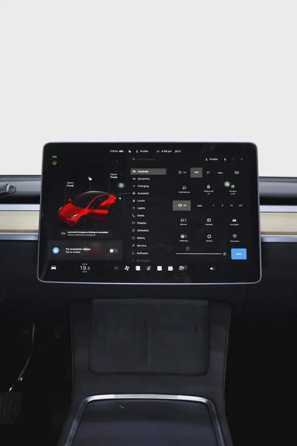 TESLA MODEL Y 2024 IN SPECIAL COMBINATION