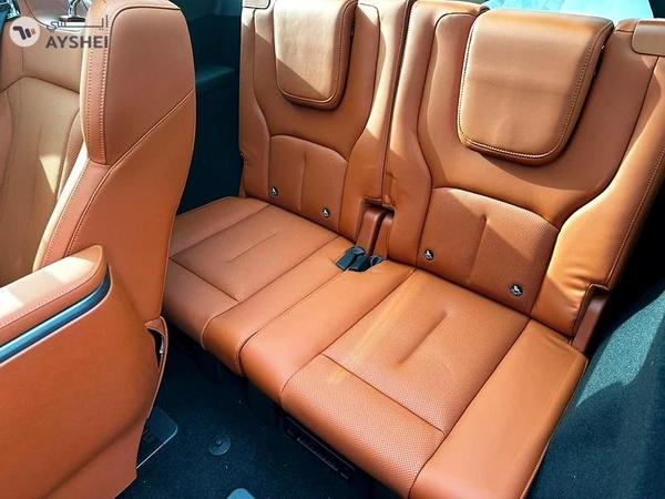 ROX 01 VIP 6 Seaters - 2025 1.5T HYBRID