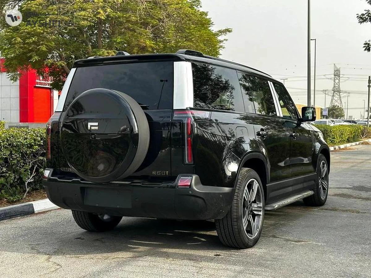 ROX 01 VIP 6 Seaters - 2025 1.5T HYBRID -7-7