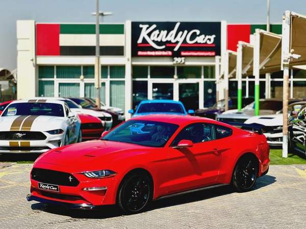 2019 Ford Mustang Ecoboost - # 73047