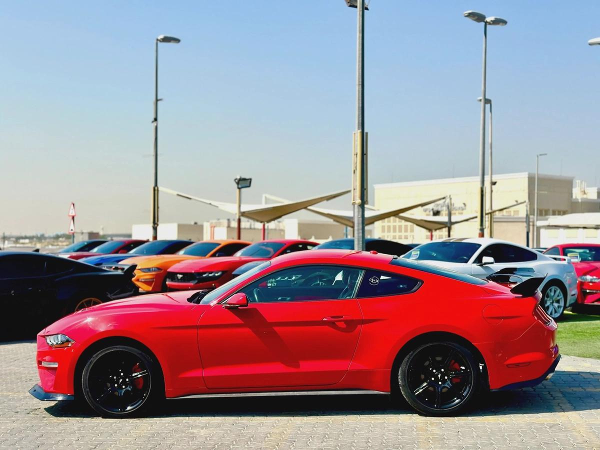 2019 Ford Mustang Ecoboost - # 73047-4-4