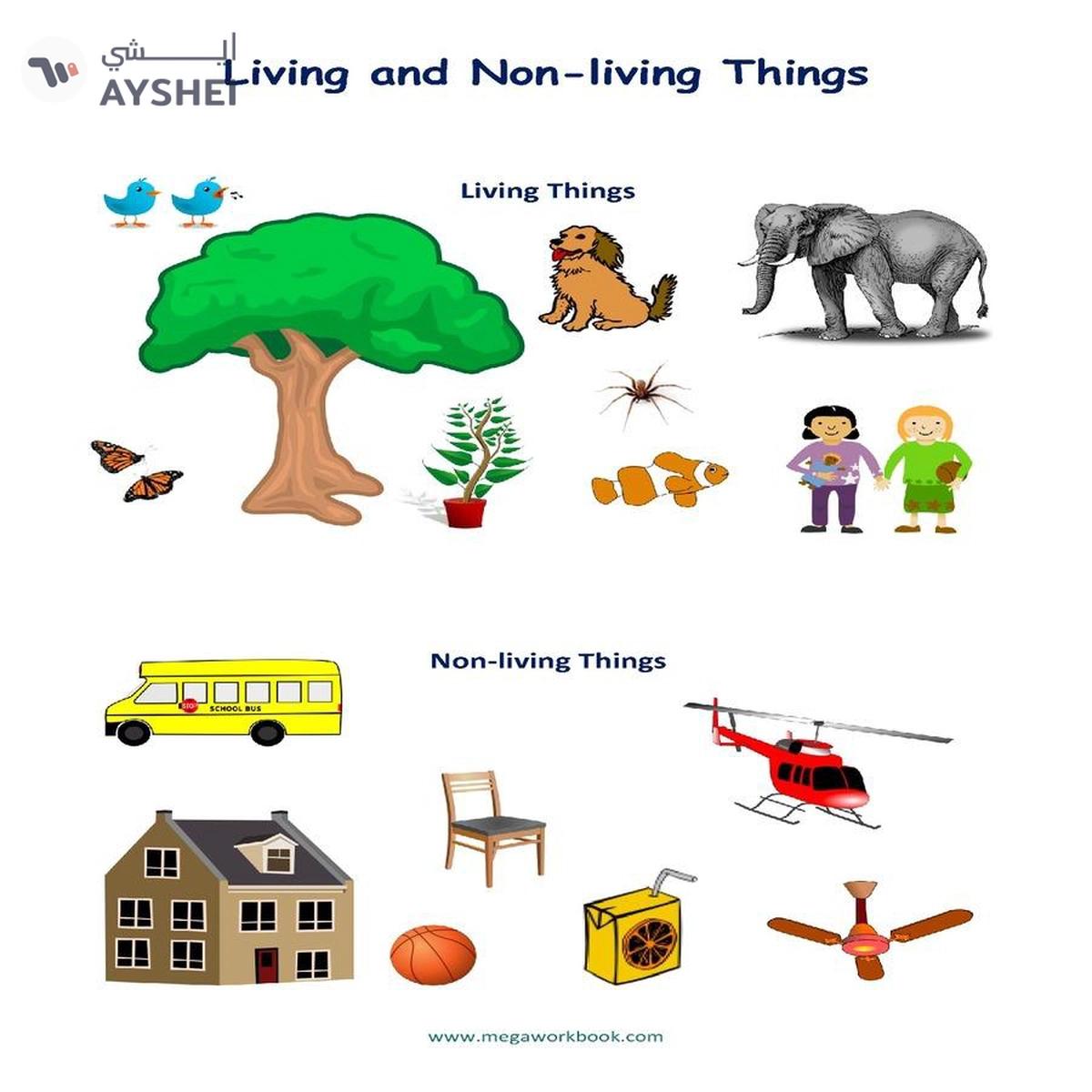 Smart - 1018 Living Non-Living Puzzle Set (Multi Color)-3-3