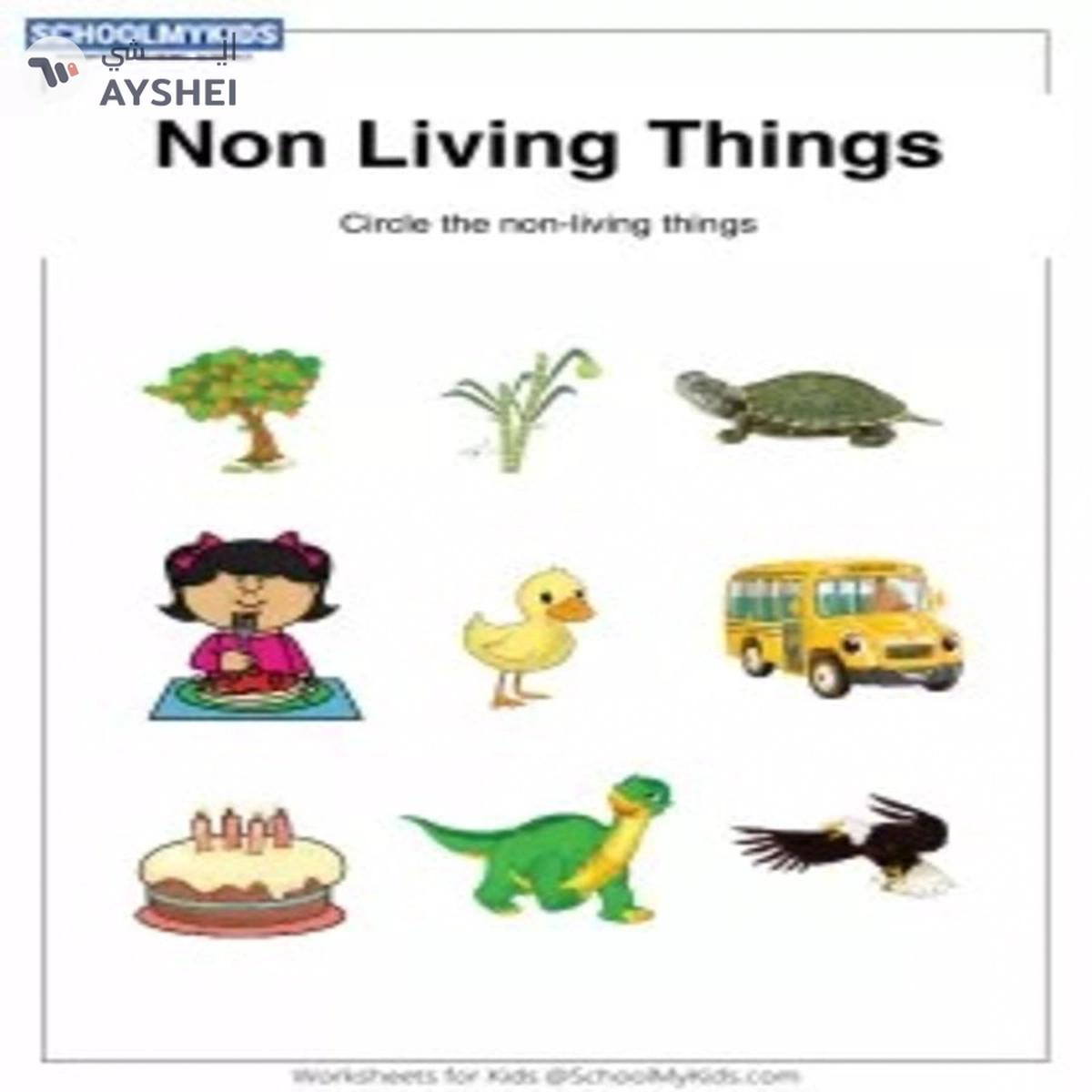 Smart - 1018 Living Non-Living Puzzle Set (Multi Color)-5-5