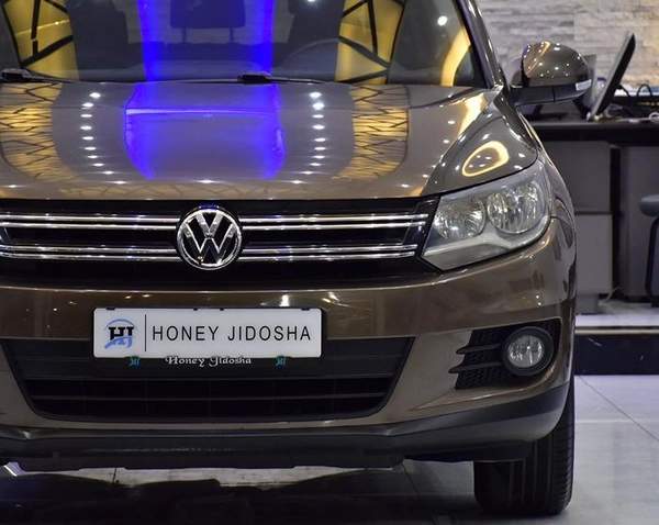 Volkswagen Tiguan ( 2015 Model ) in Brown Color GCC Specs