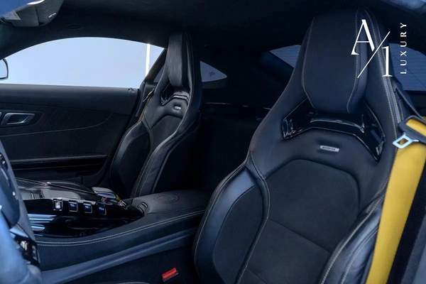 Mercedes-Benz AMG AMG-GT R