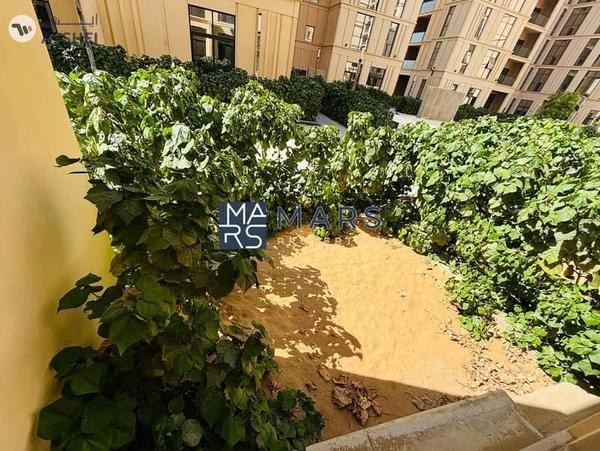 Your Ground Floor Studio: Relax in a Mini Garden!