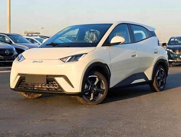 BYD Seagull FLYING EDITION | ELECTRIC | FULL OPTION (CODE # 69083)