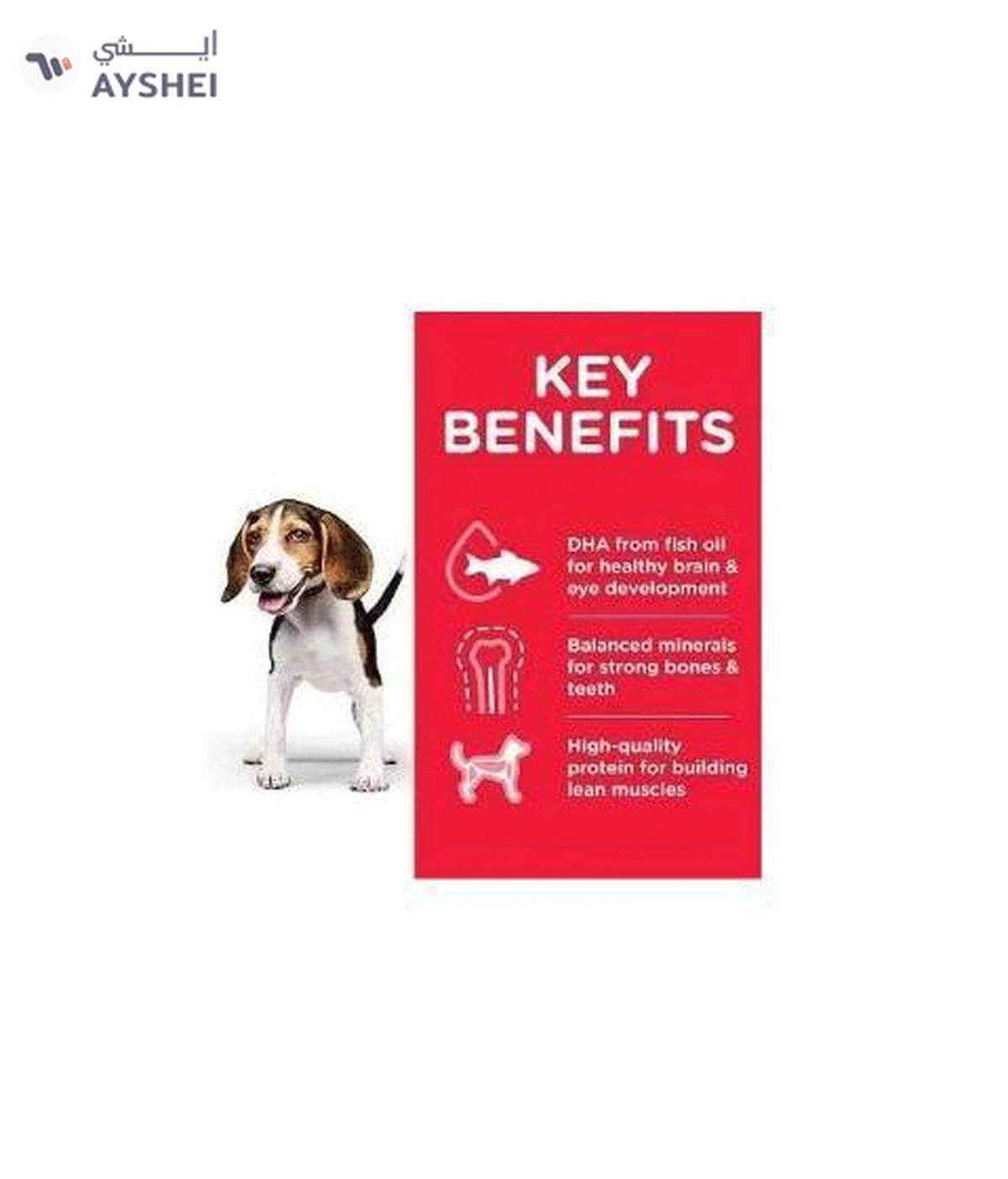 Hills Puppy Medium - Dry Food For Puppies With Chicken 2.5 Kg-1-portrait