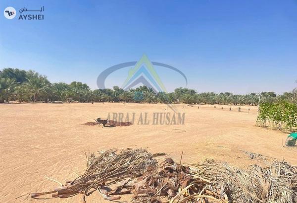 FARM FOR SALE IN AL KHABISI