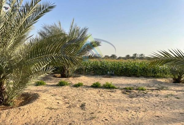 FARM FOR SALE IN AL AJBAN