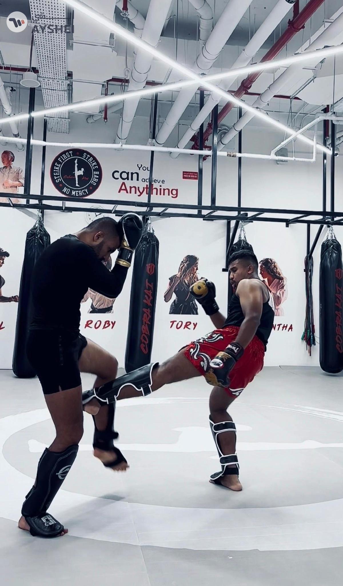 Elite Boxing and Kickboxing training-3-3