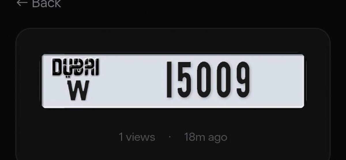 Dubai plate -0-0