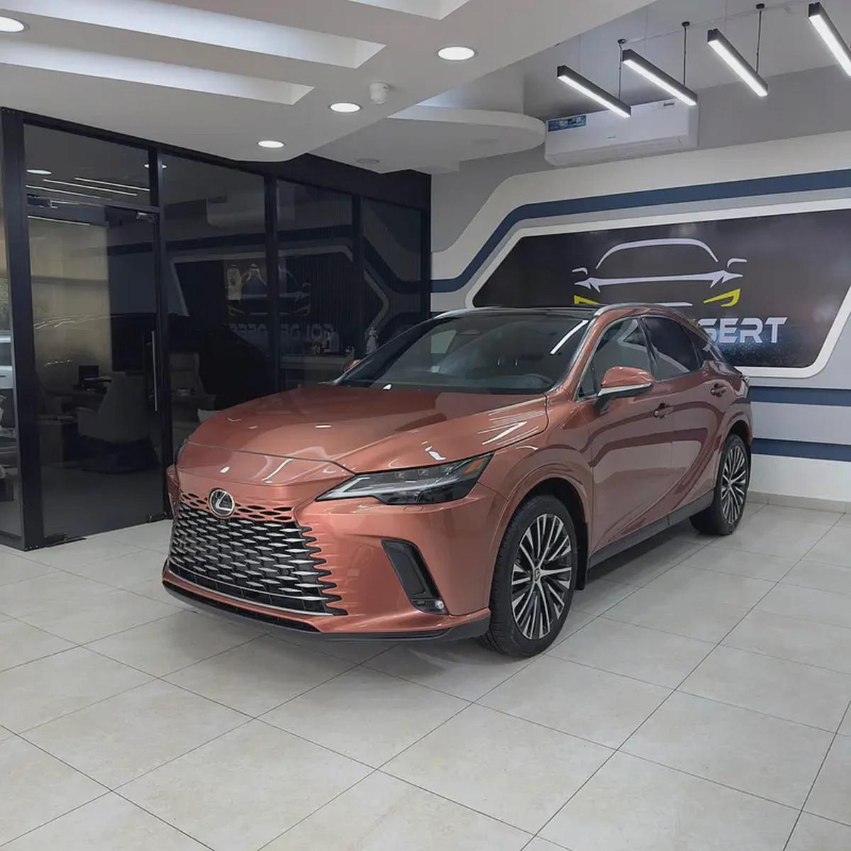 2024 Lexus Rx-350 Platinum - Full Option-0-0