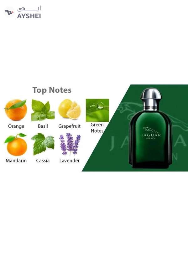 Jaguar EDT For Men 100ml