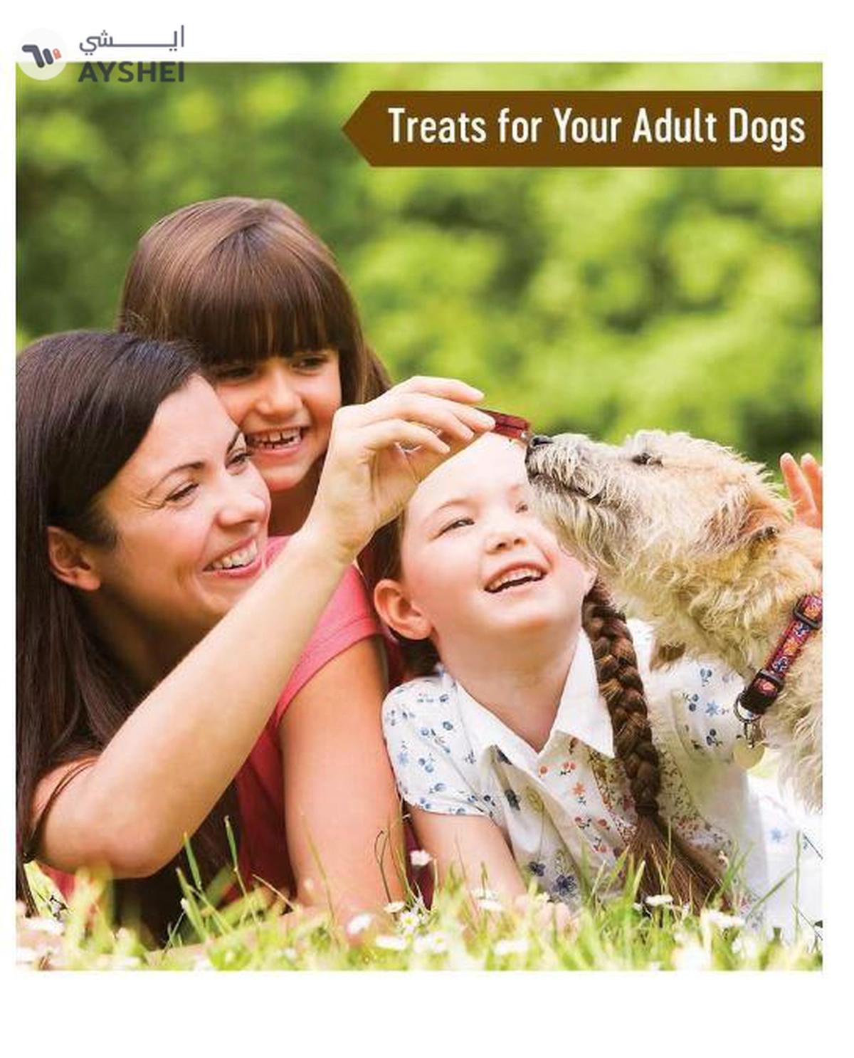 Dog Fest Slices With Venison For Adult Dogs 90g-1-1