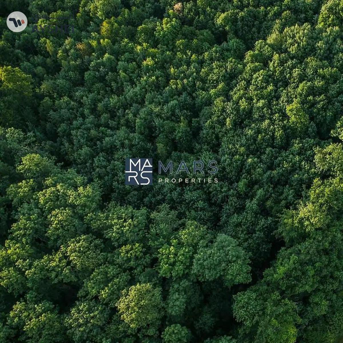 Kaya, Masaar, Tilal City, Sharjah-5-5