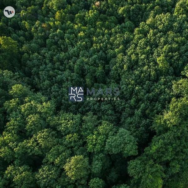 Kaya, Masaar, Tilal City, Sharjah