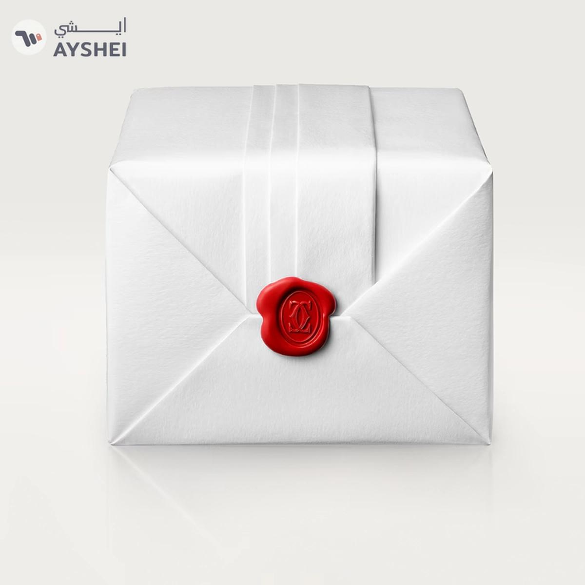 Cartier Santos Green Dial Watch-1-portrait