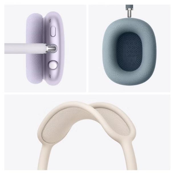 Apple Airpods Max ( USB-C) Purple