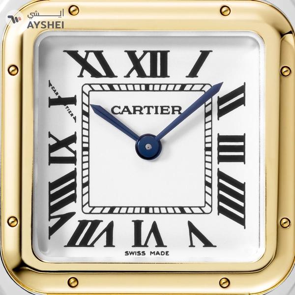 Cartier Panthere de Cartier Medium Steel & yellow gold
