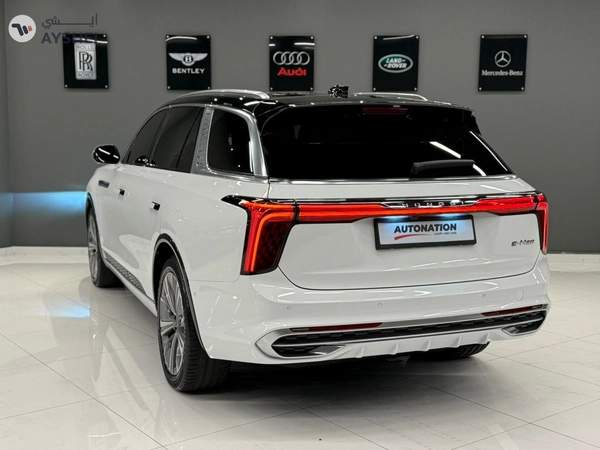 Hongqi E-HS9 2023