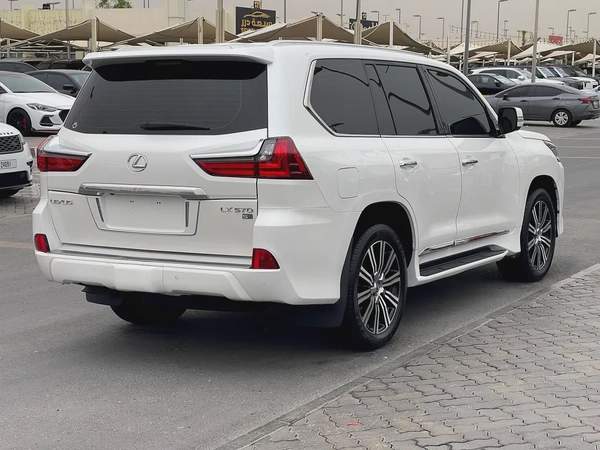 الشارقه سوق الحراج معرض اصل الهيبه رقم 162