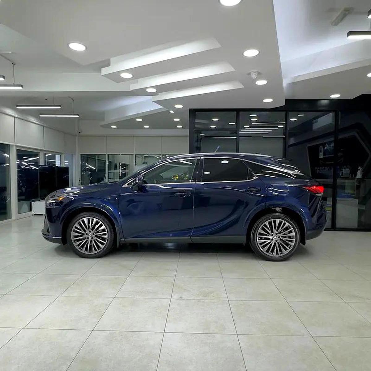 2023 Lexus Rx350 hybrid Platinum-13-13