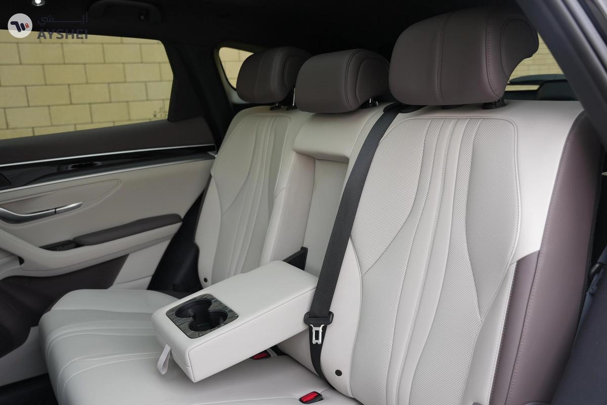 BYD Song Plus DM-i 112KM Premium-17-17