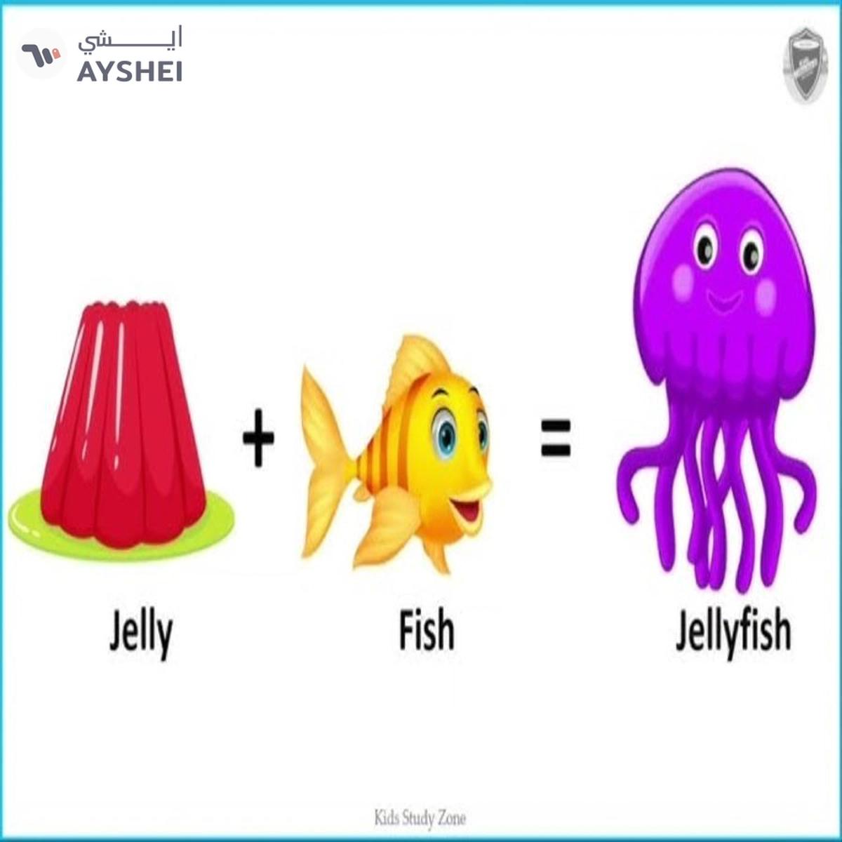 Smart Compound Words: Fun Learning for Kids-2-2