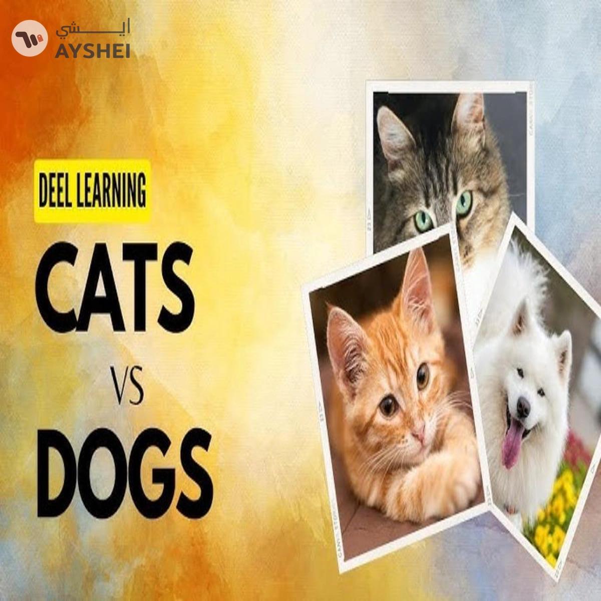 Smart - SX-201-A Learning to Classify Match Ups (Multi Color, 48 Count)-1-portrait