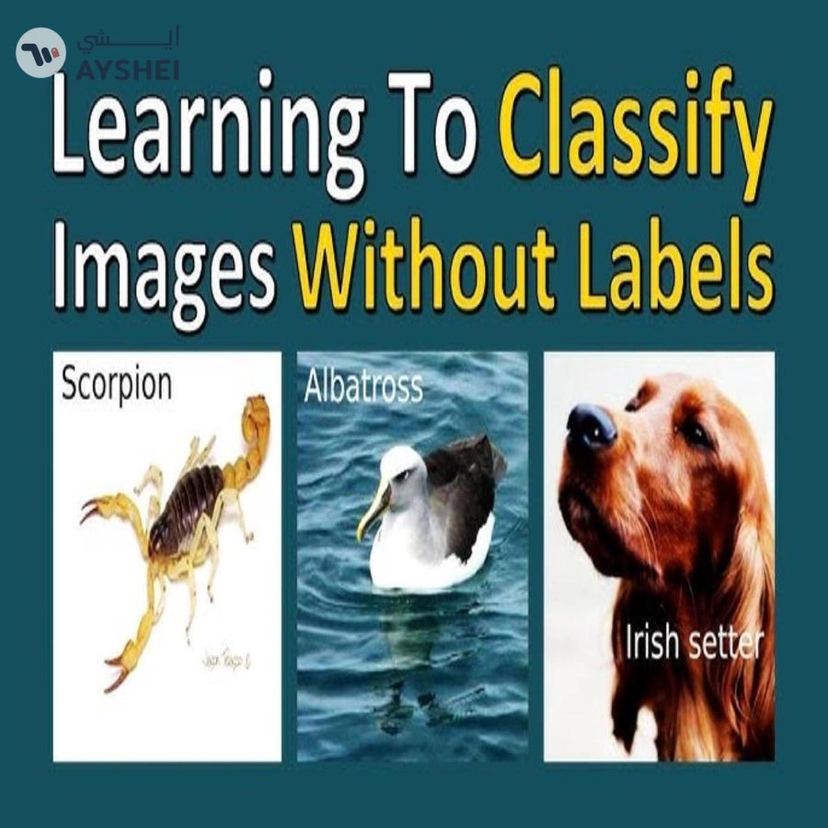 Smart - SX-201-A Learning to Classify Match Ups (Multi Color, 48 Count)-1-portrait