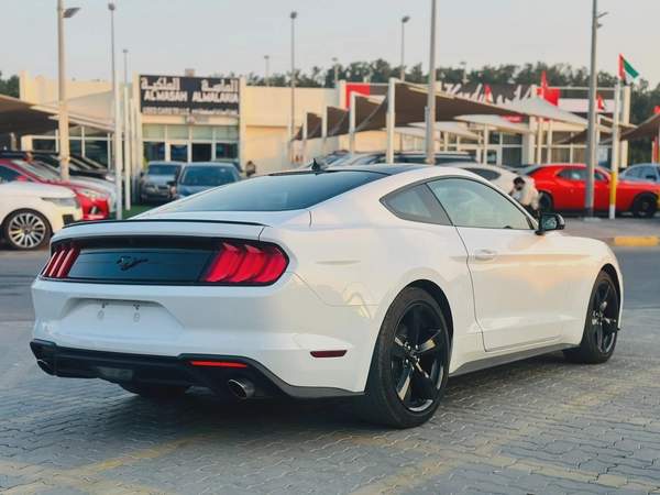 2023 Ford Mustang EcoBoost Fastback - # 12661