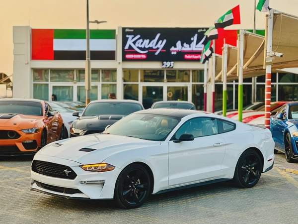 2023 Ford Mustang EcoBoost Fastback - # 12661