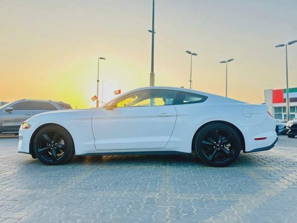 2023 Ford Mustang EcoBoost Fastback - # 12661