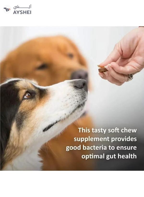 Veterinary Formula Synergy Labs Veterinary Formula Clinical Care Eye Health & Tear Stain 150g (30 counts)