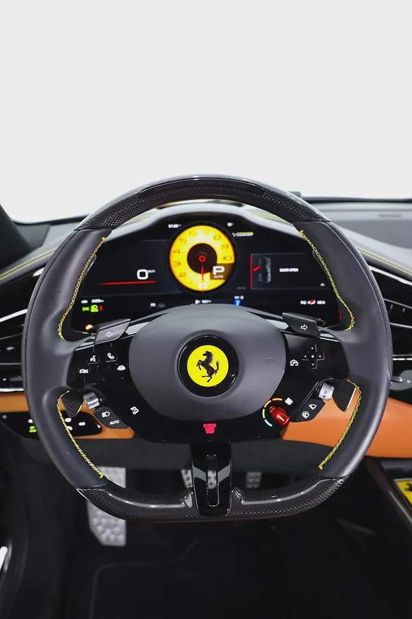 FERRARI PUROSANGUE - CARBON PACKAGE IN SPECIAL GRIGIO GRAY