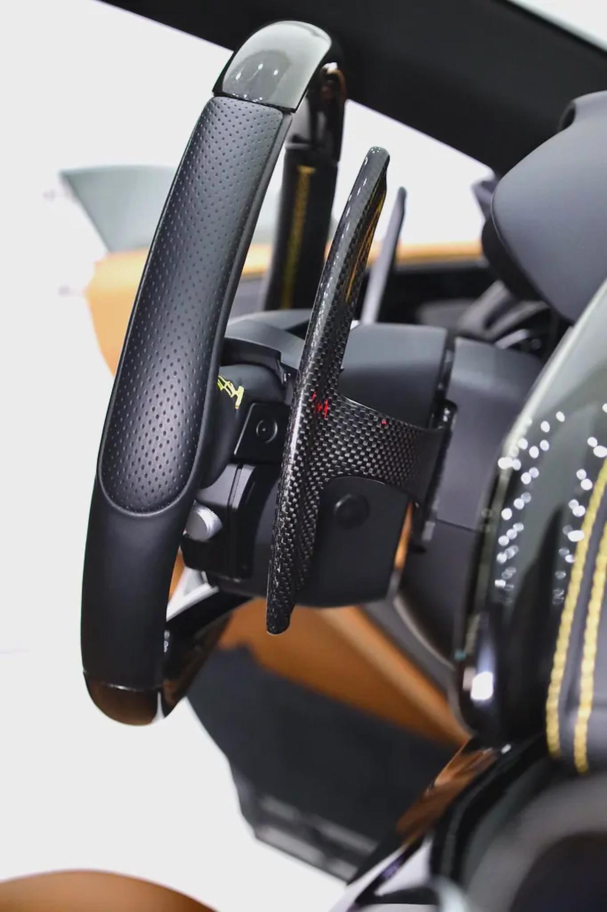 FERRARI PUROSANGUE - CARBON PACKAGE IN SPECIAL GRIGIO GRAY-16-16