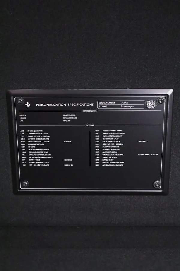 FERRARI PUROSANGUE - CARBON PACKAGE IN SPECIAL GRIGIO GRAY