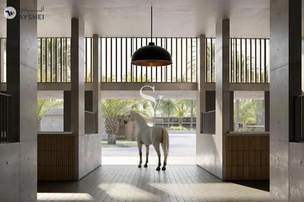 Grand Polo Club & Resort, Dubai Investment Park (DIP), Dubai